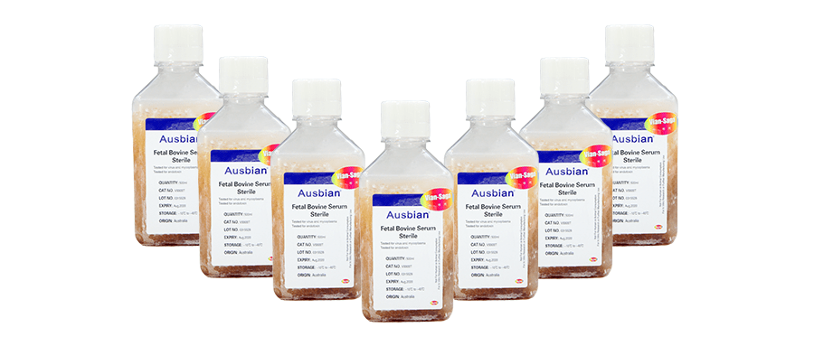 时间|细胞王国的世界