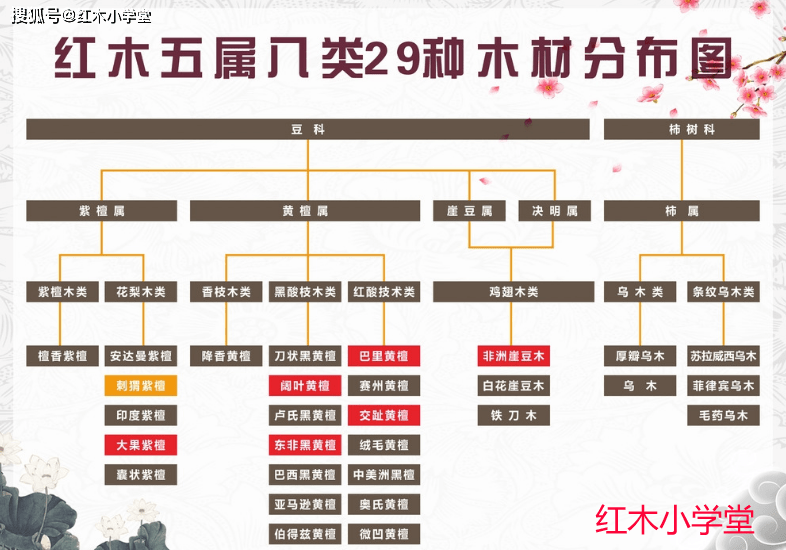 檀木种类全解图图片