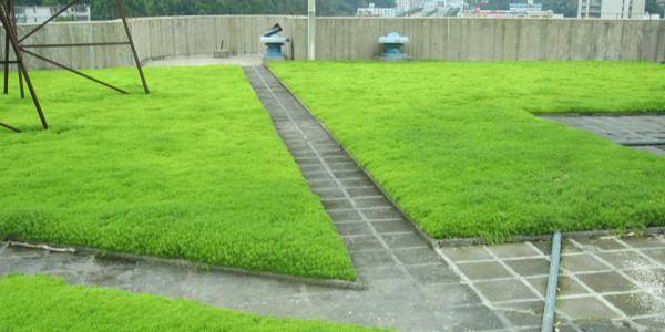 种植屋面基础知识,你学"废"了么?