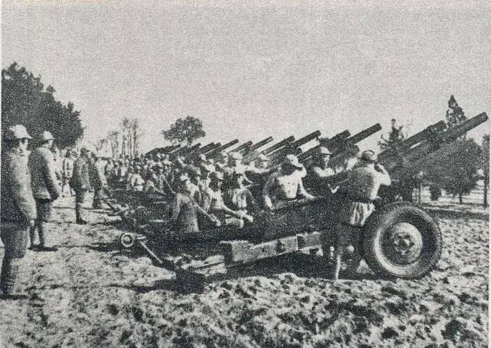 山东兵团的大炮_纵队_鲁南战役_豫皖