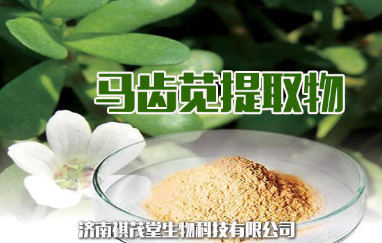 獸用馬齒莧的主要功能獸藥馬齒莧提取物用法用量獸用馬齒莧的粒配伍