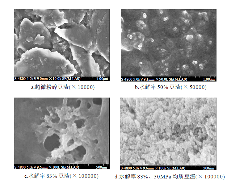 酸水解輔助高壓均質製得納米豆渣纖維素