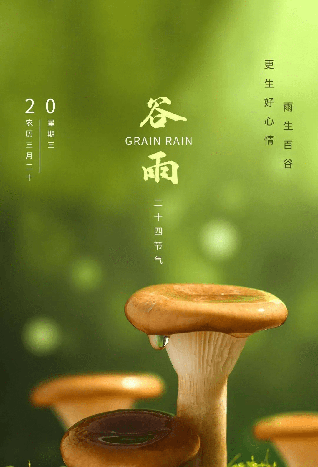 原创谷雨最漂亮早上好动态表情图合集2022最新谷雨早晨好动图语录大全