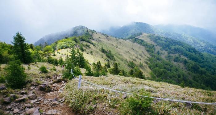 新风空调大屏电视干衣机，这些老品翻红释放家电业倔强与谋略-家电圈官网