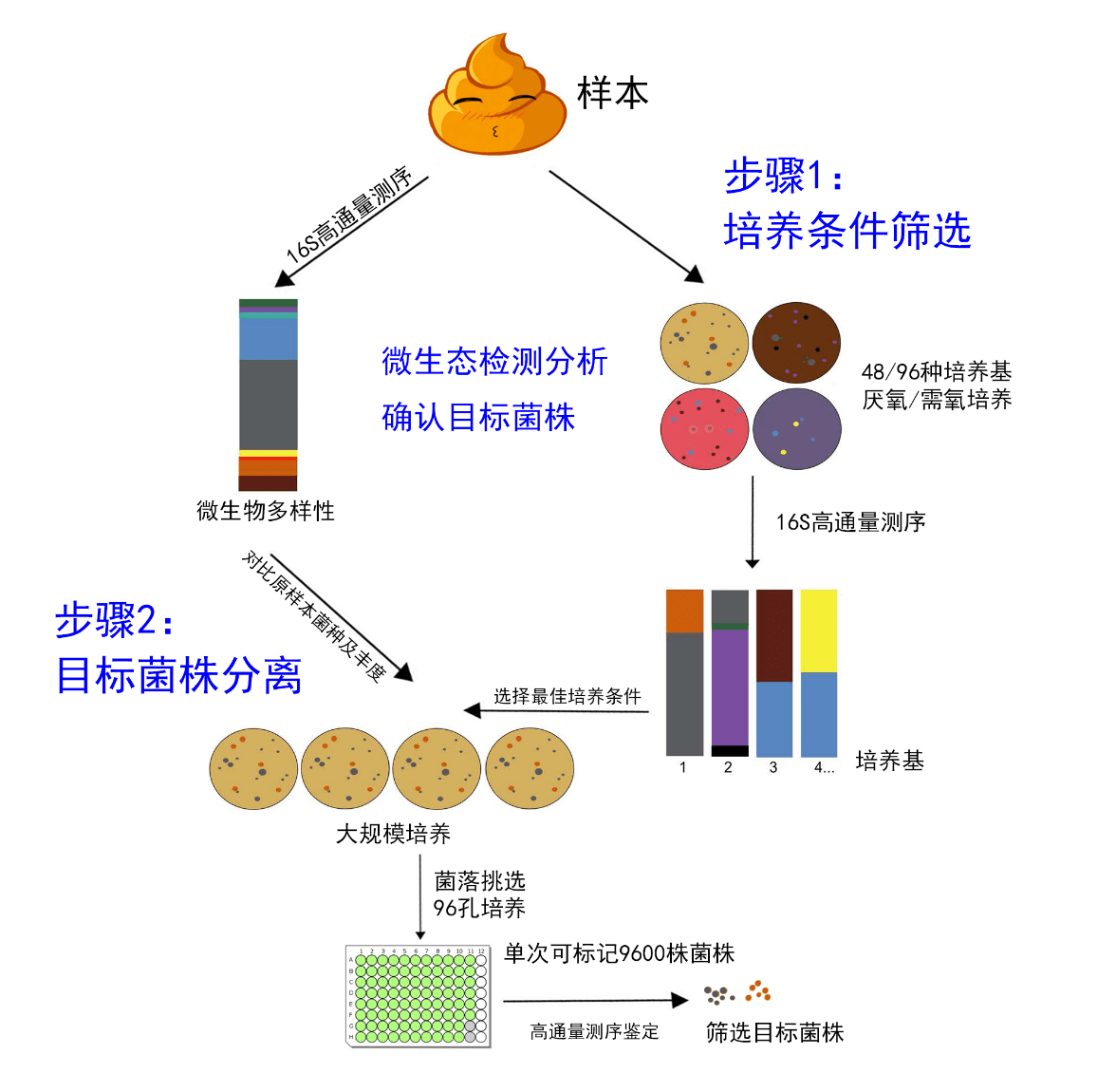 酶制剂行业发展动态