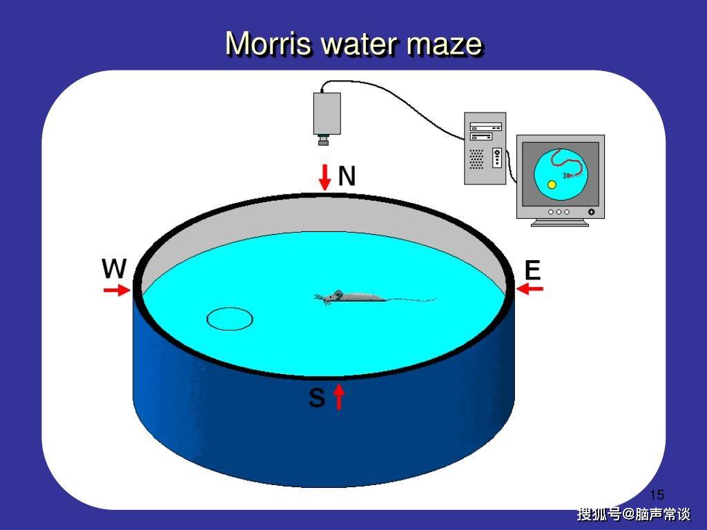 Morris水迷宫实验的应用与设备 - 知乎