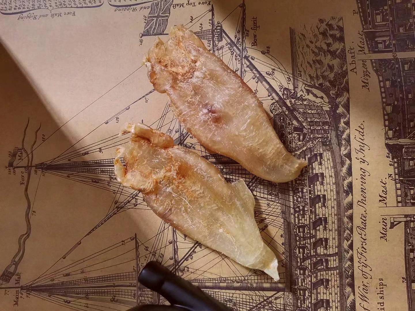 巴西北海鱼胶好坏鉴定