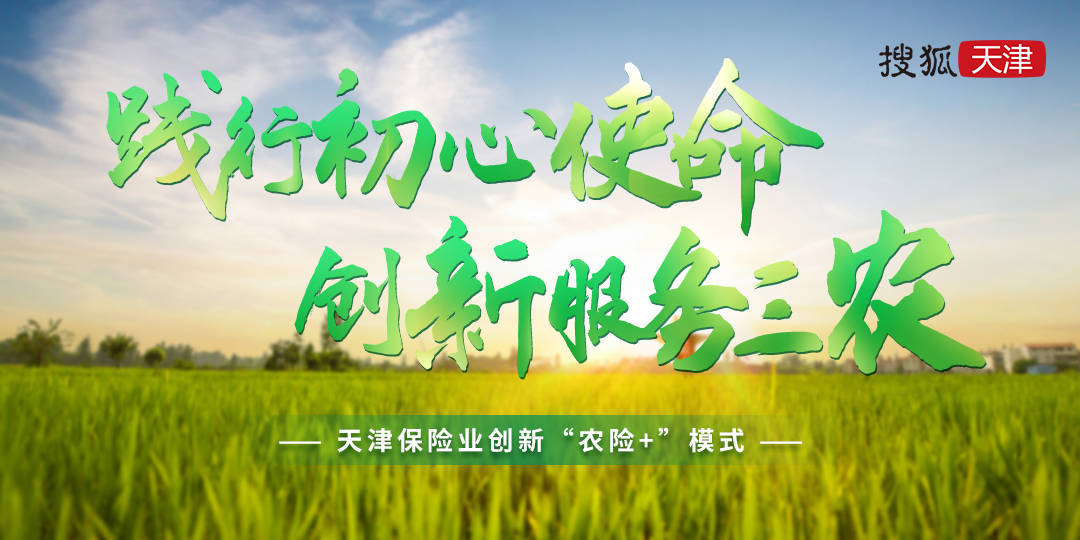 践行初心使命创新服务三农天津农险高质量发展新闻专题报道