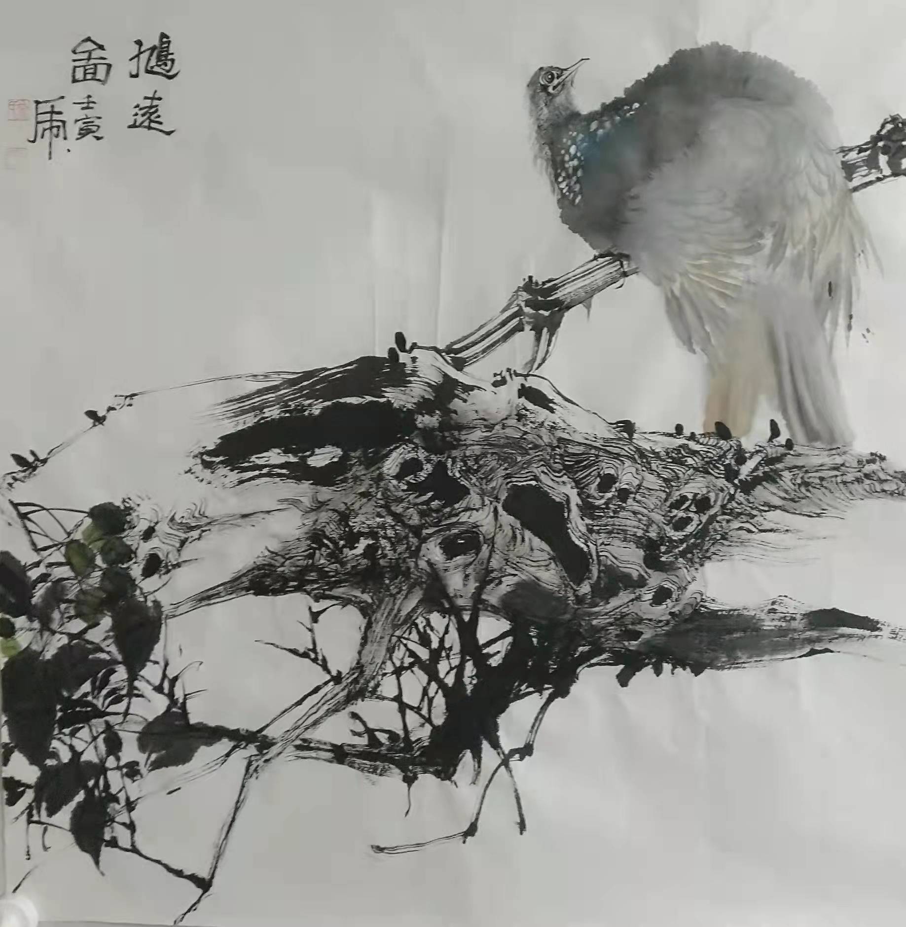 花鸟画家——余春虎_秦少甫_高研_创作