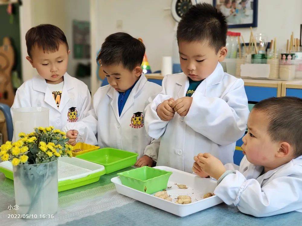 小班萌娃返園記太原市育星幼兒園復學ing