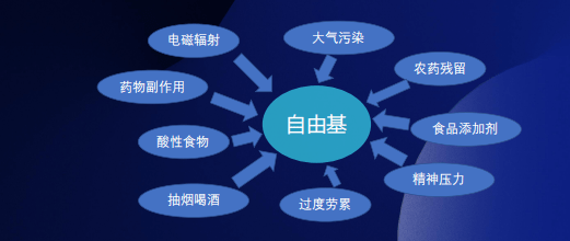 氧自由基危害人体健康看完你就知道谁是清除体内氧自由基的好帮手