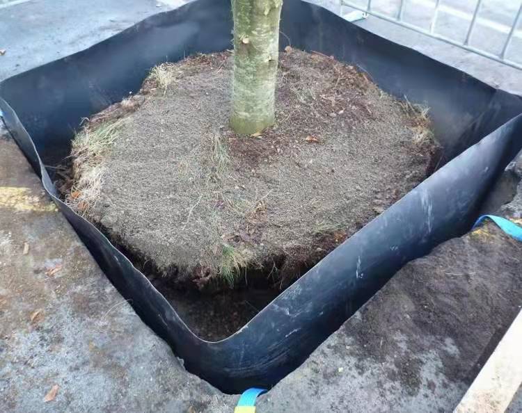 出口阻根板的用途是什么