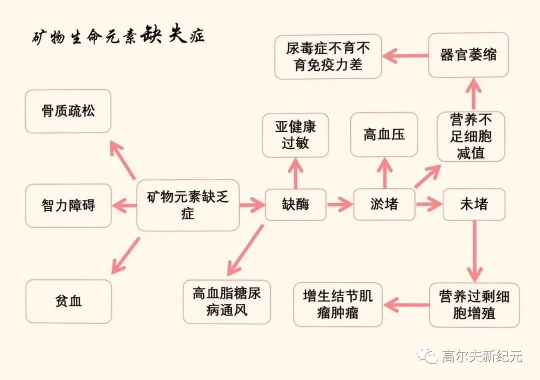 百度百科君子之道步鞠發明人陸斌