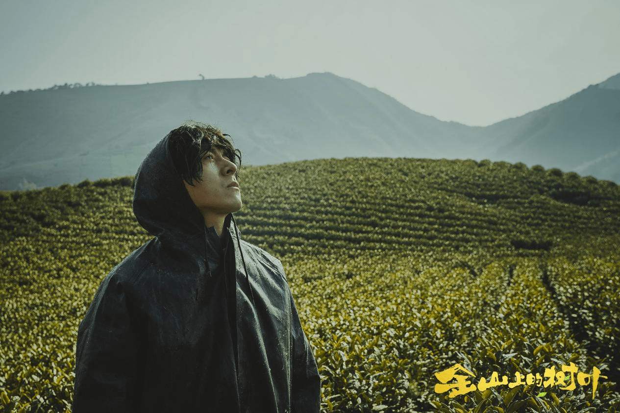 共同富裕题材网络电影金山上的树叶上线