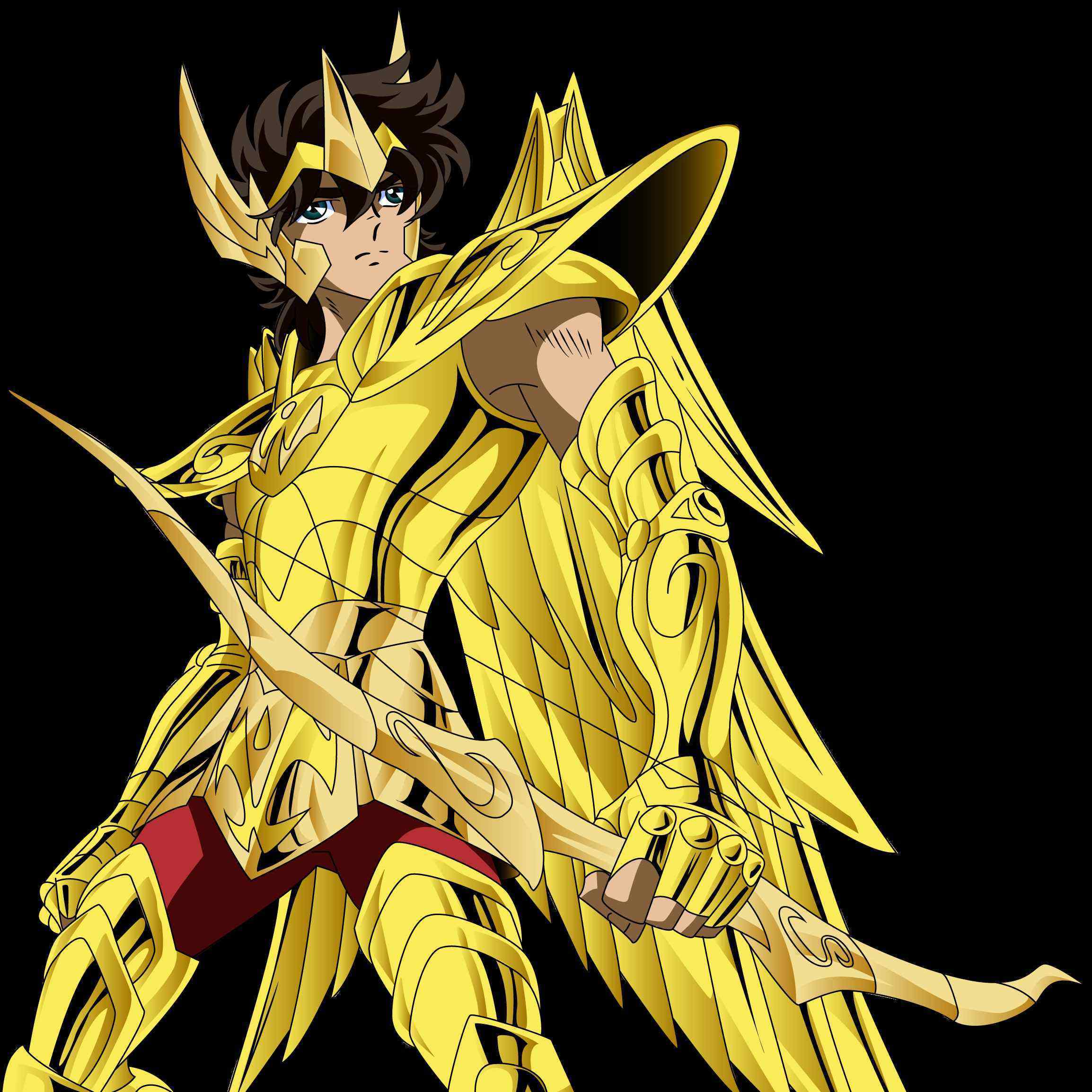 圣斗士星矢黄金圣斗士都是如何确定的从青铜升上来的吗