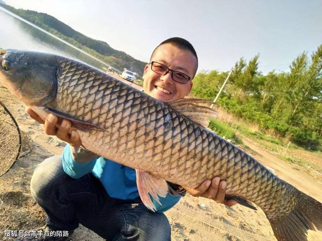 渔乐杂谈春末夏初钓草鱼的方法汇总简述手矶海竿