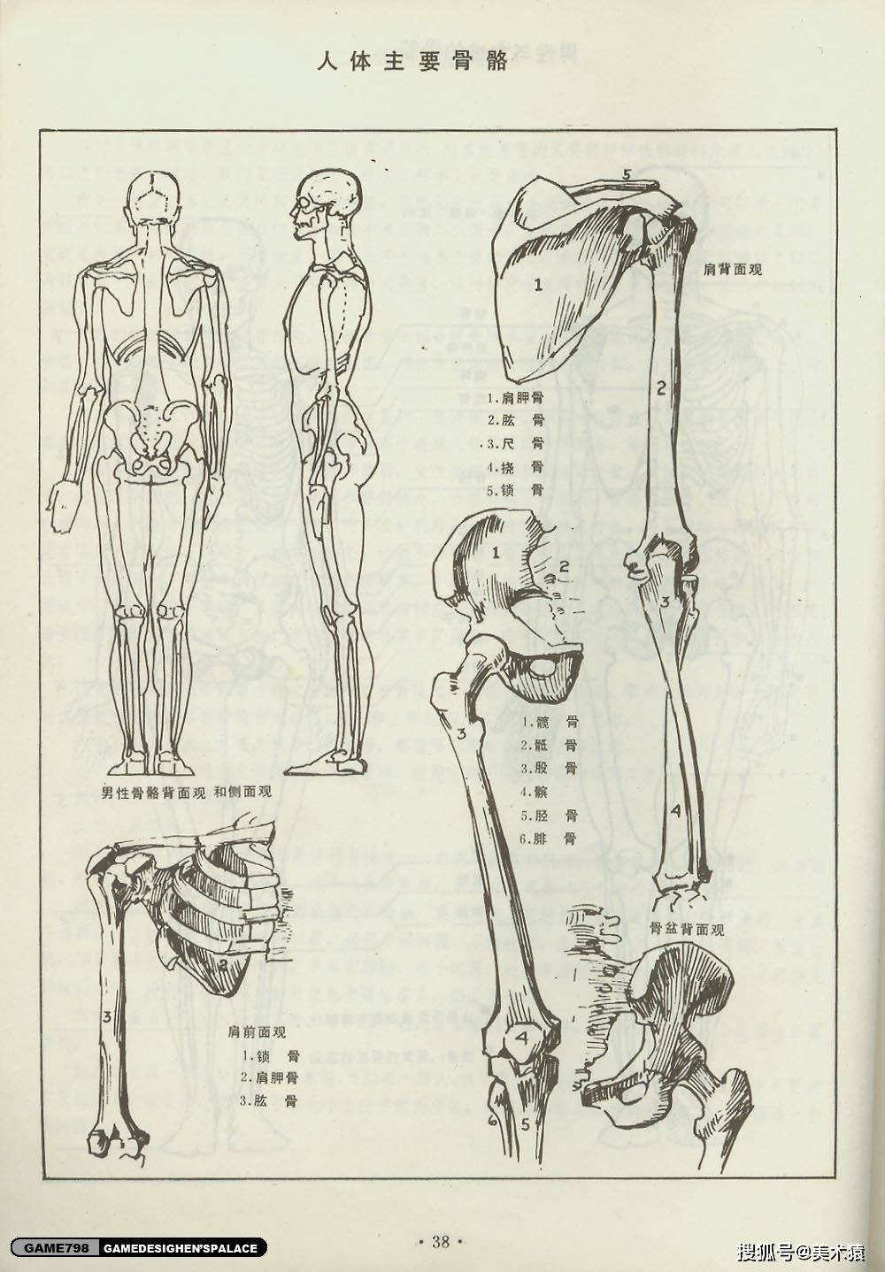 路米斯《人体素描》_绘画_乔治·伯里曼_美国