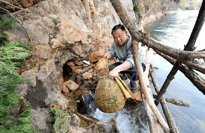 湖北一神秘山洞，每逢清明吐鱼成千上万条无鳞怪鲤鱼，专家：这鱼不能吃