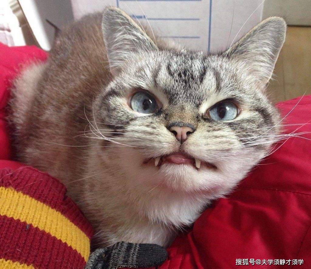 开心一刻:我想给女友买礼物,她说道:我什么都不要,只要你陪我!