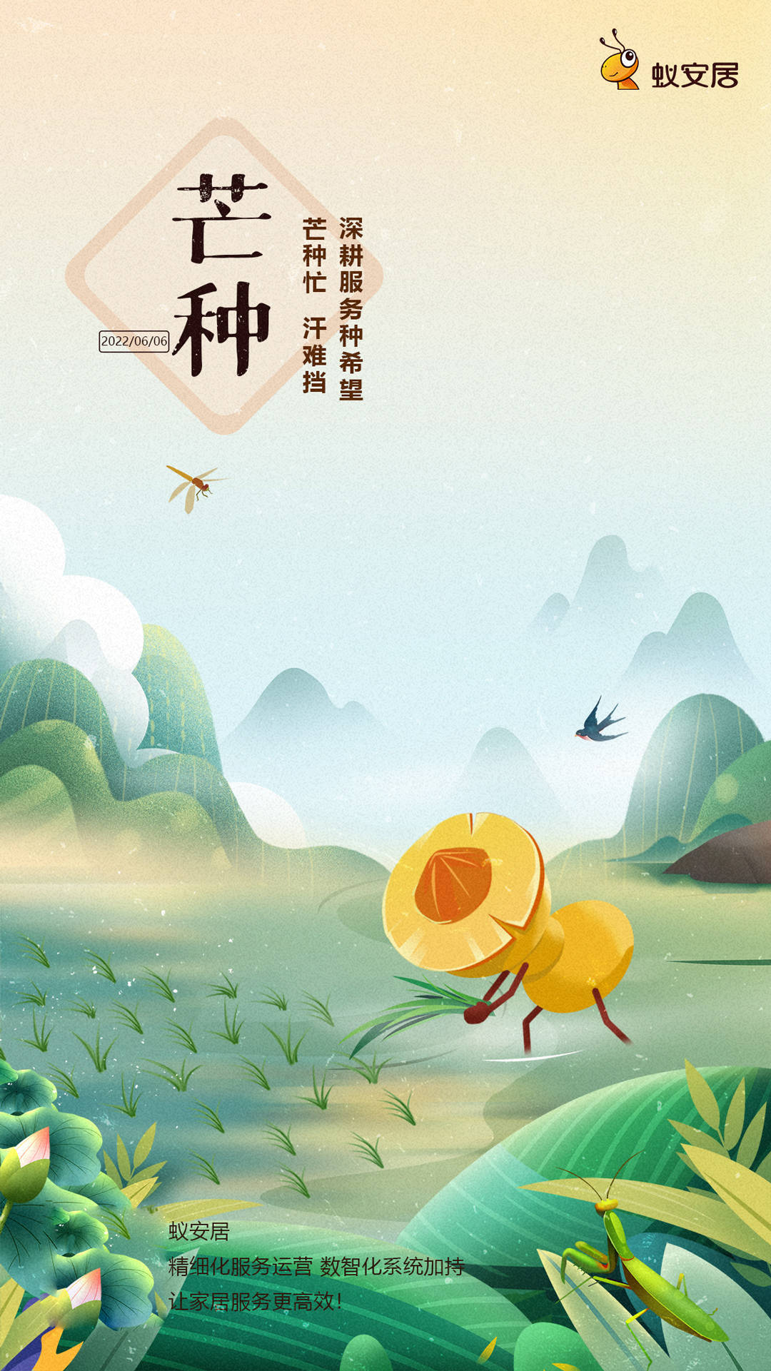 今日芒种芒种芒种忙于耕种愿所有的努力都不被辜负