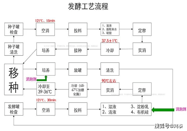 酶制剂生产：行业趋势与创新