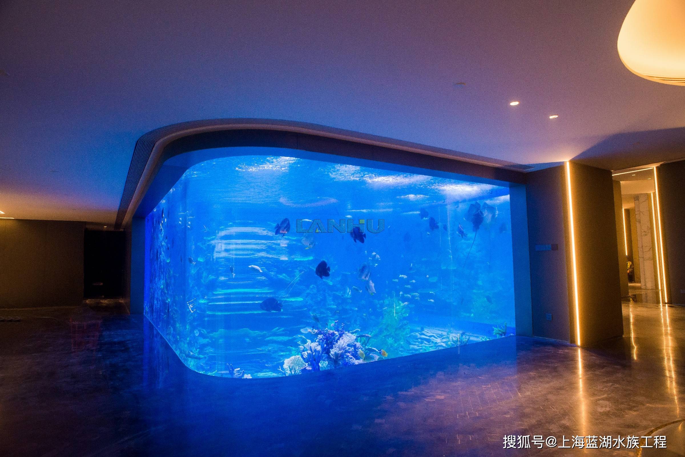 海洋馆水族馆维生系统蛋白质分离器作用