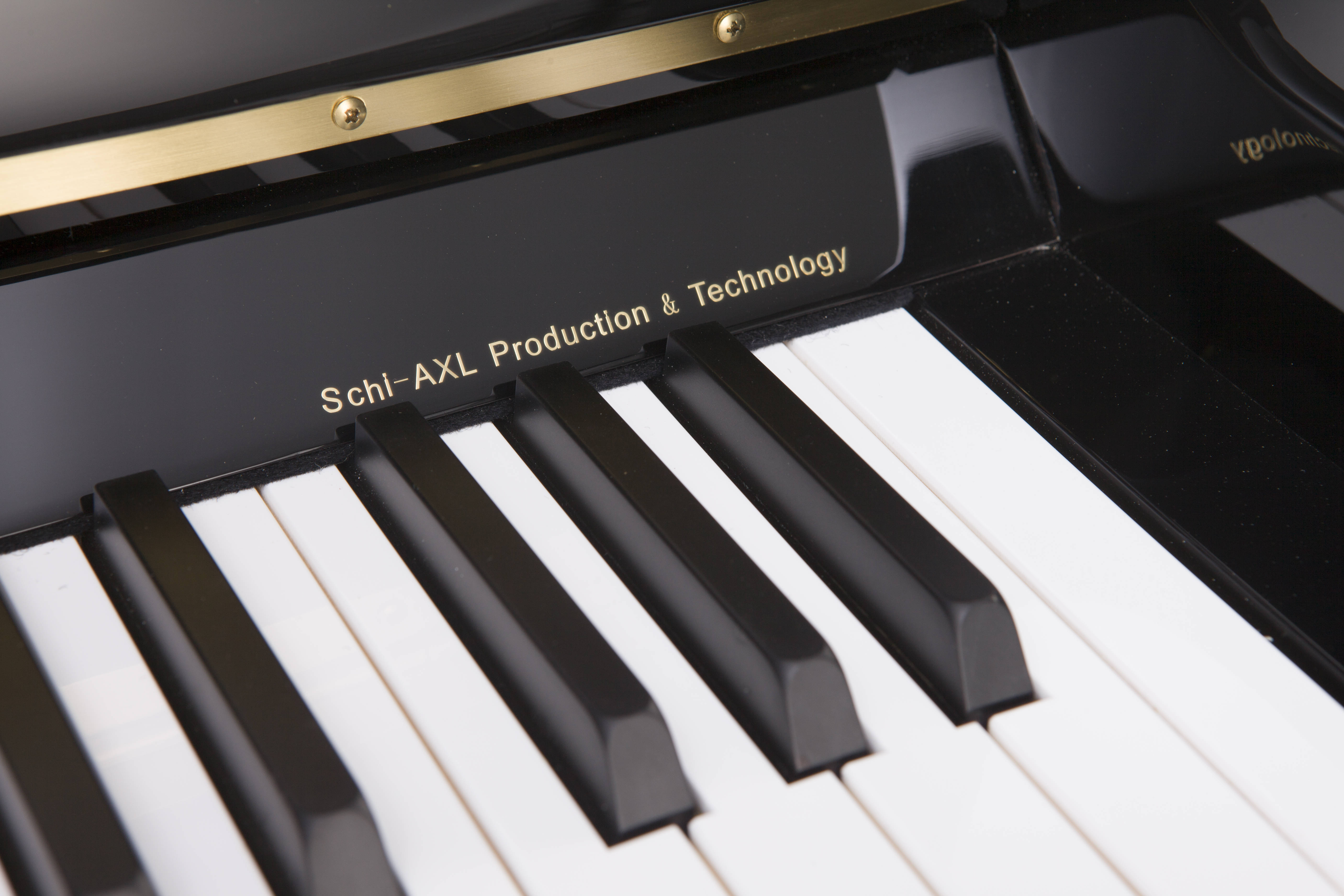 palatino帕拉天奴钢琴工厂简介_乐器_生产_技术