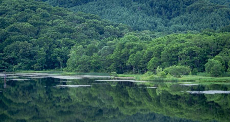 最近一些家电经销商经营出现亏钱了-家电圈官网