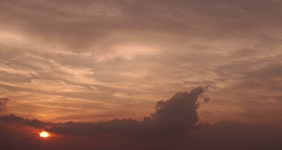 直播带货不是家电零售商们的敌人-家电圈官网