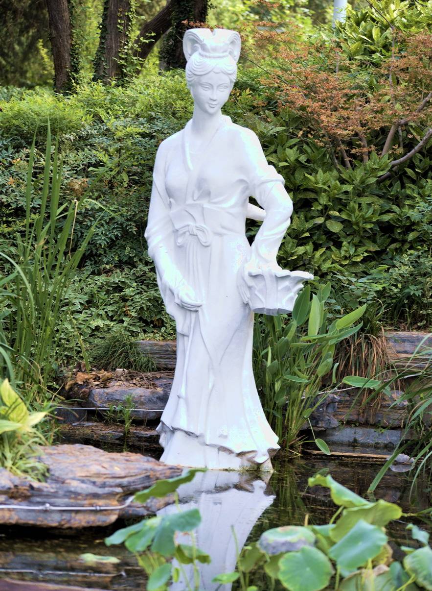 紫荆山公园荷塘开门迎客人