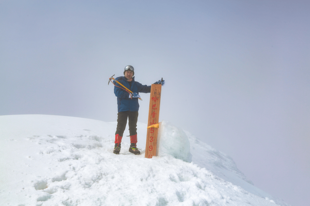 乐行高山梅永刚努力过不后悔让今生不留遗憾