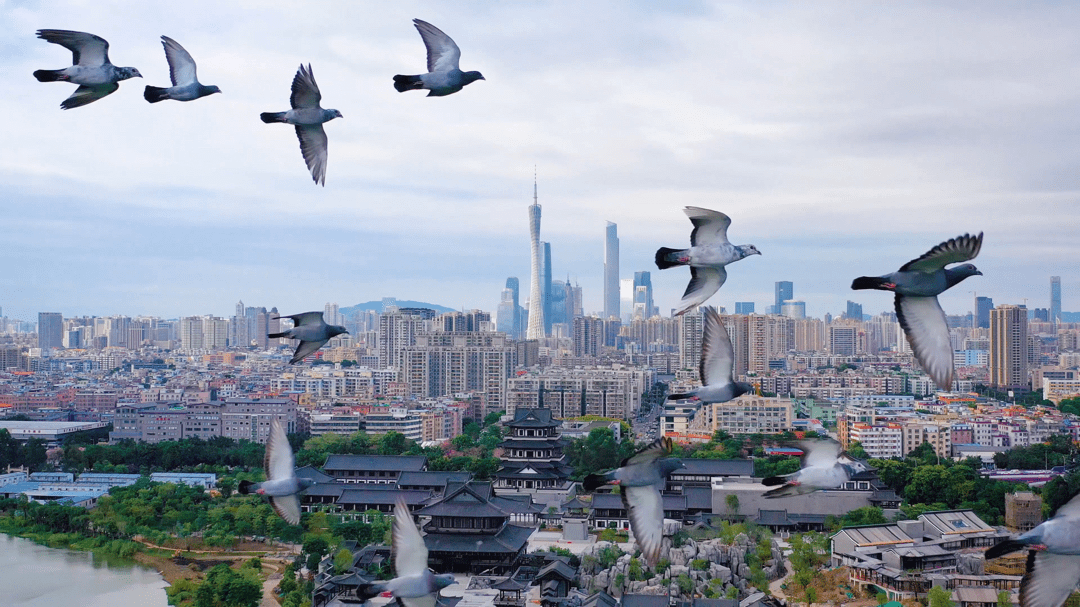 在城市上空起飞，绘一幅新“千里江山图” 