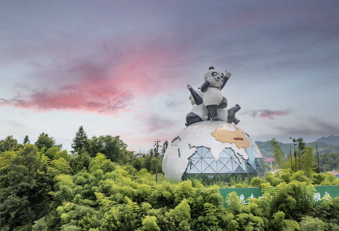 四川雅安大熊猫塑像璀璨夺目