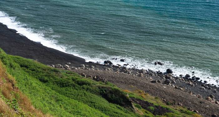 西门子家电今年“亮剑”中国市场,行还是不行?-家电圈官网