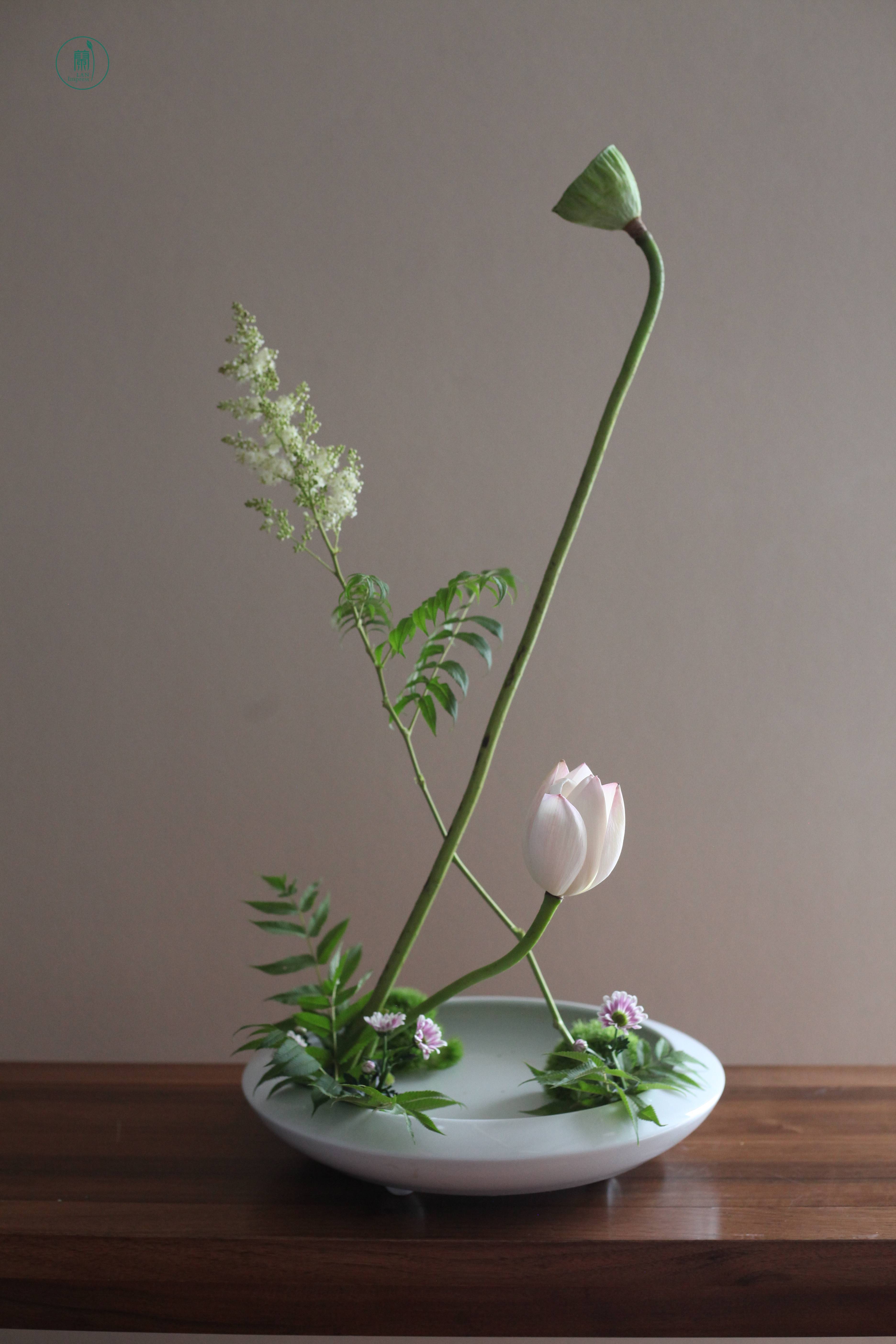 西安蘭印象小原流花道|生活美学课堂