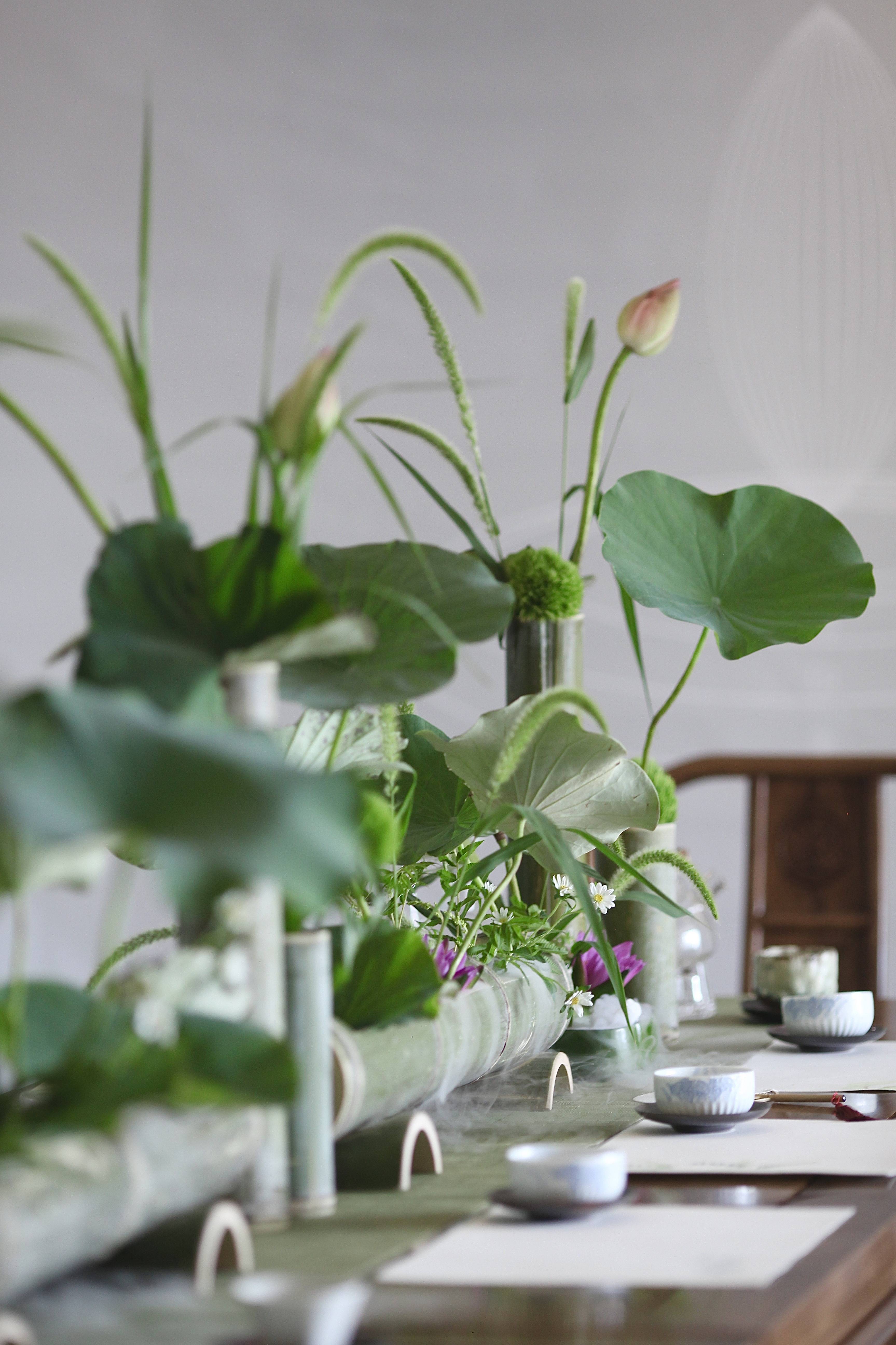 蘭印象支部夏日雅集·风动荷香|东方美学#茶会雅集花道布置