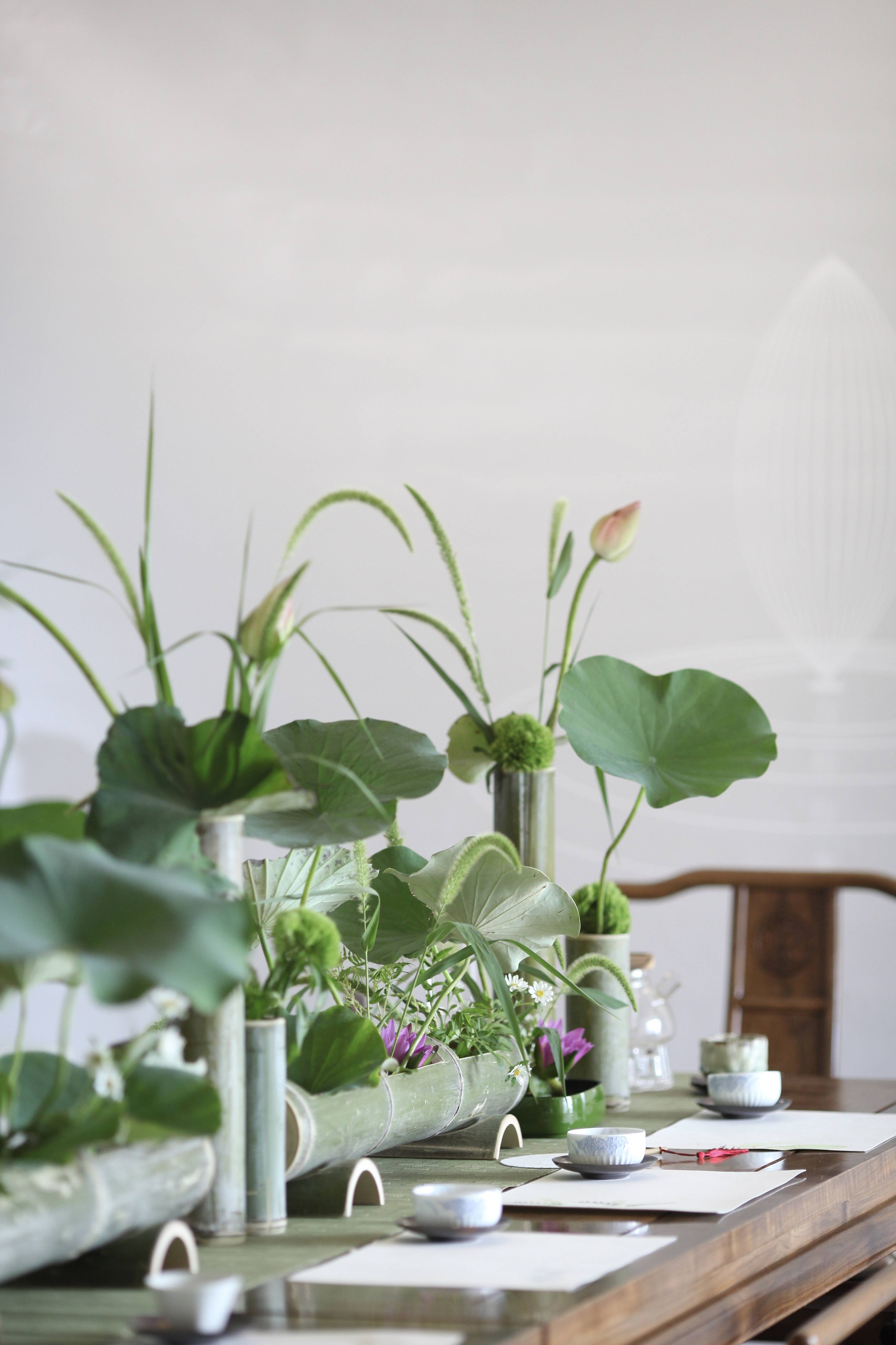 蘭印象支部夏日雅集·风动荷香|东方美学#茶会雅集花道布置