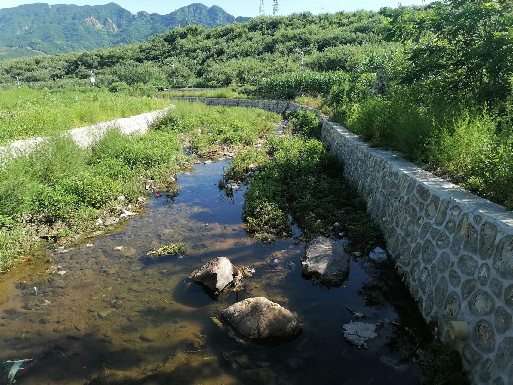 开门一件事西岔沟村系列二