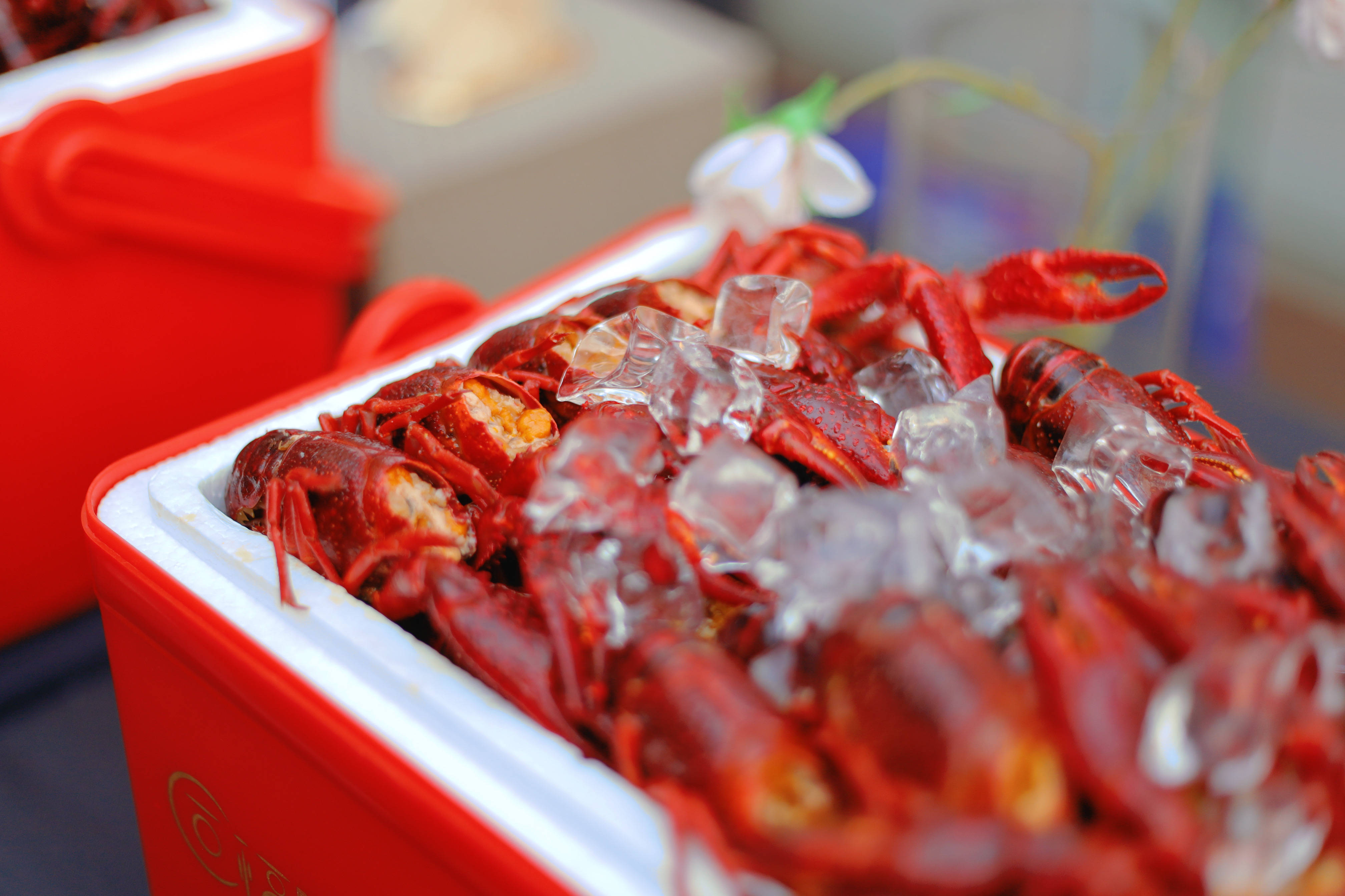 连续4年霸屏必吃榜的同福龙虾第七届同福龙虾节圆满结束啦