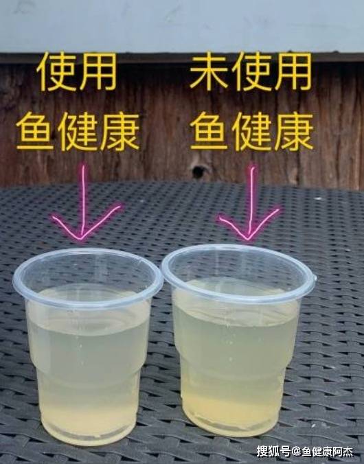 |鱼健康|鱼塘里有锈水怎么处理？