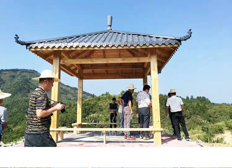 现在流行的树脂瓦就是塑料瓦板吗防火怎么样能烧燃吗