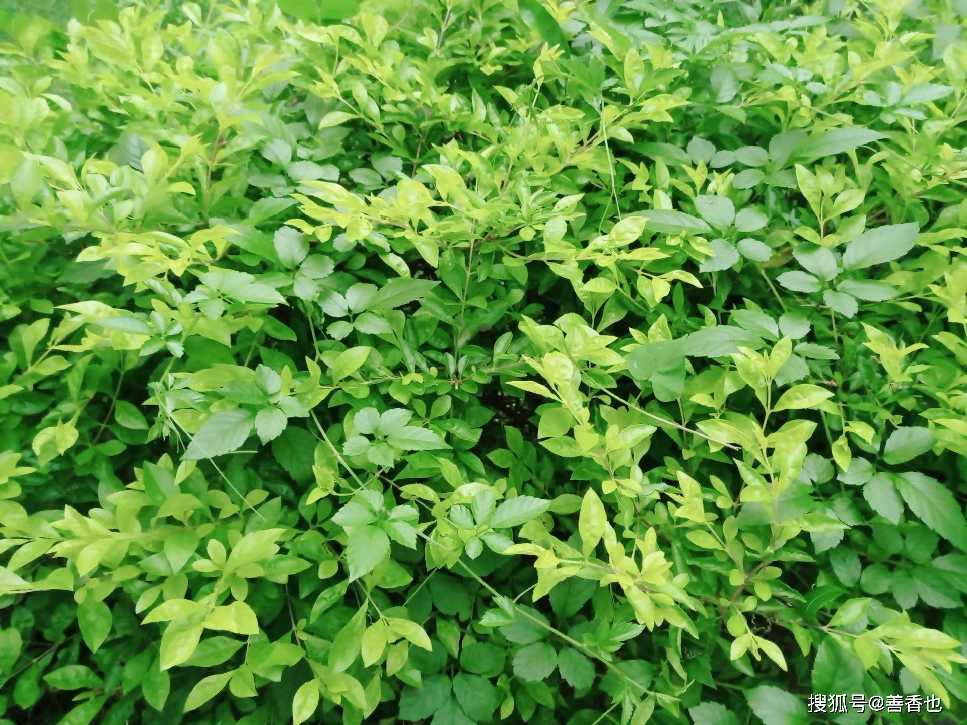 认识 易经 中的阴阳 阴和阳 万物 宇宙