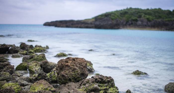 面对市场不断出现的新风口，家电厂商先下手还是伺机而动？-家电圈官网