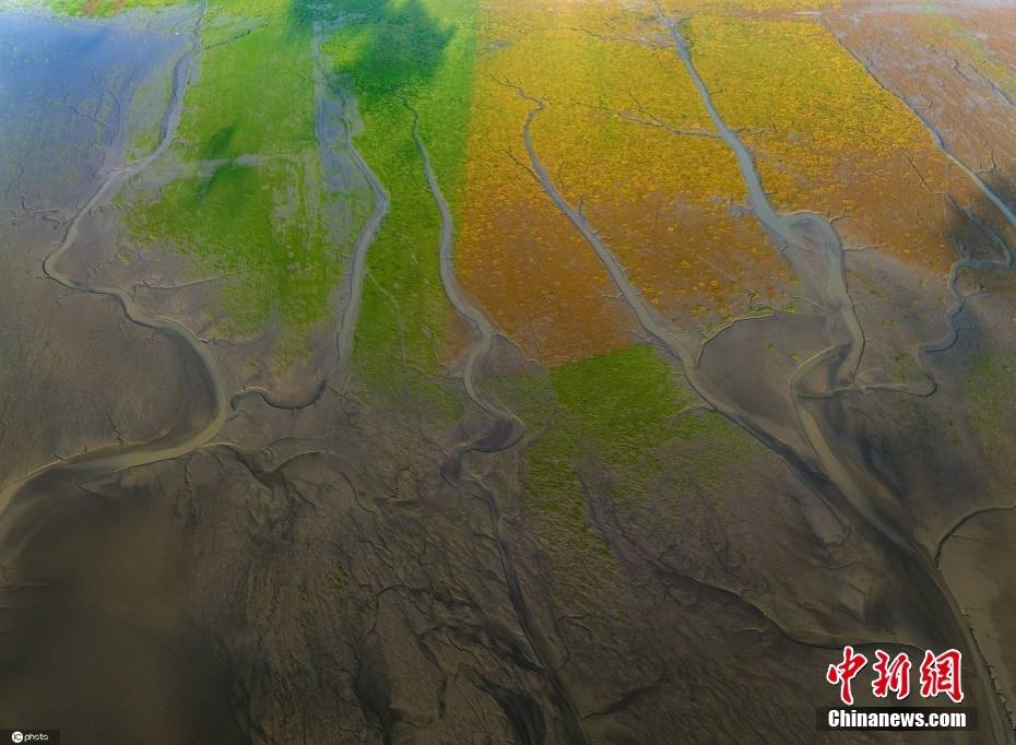 初秋时节 江苏盐城条子泥湿地呈现梦幻风景-搜狐大视野-搜狐新闻