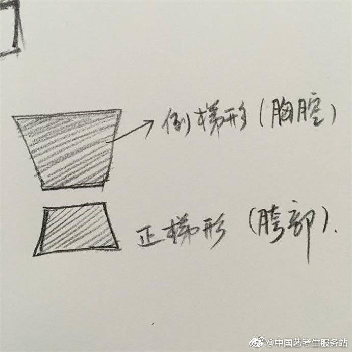 速写干货 | 速写学习课件，只有理解才能进步-搜狐大视野-搜狐新闻