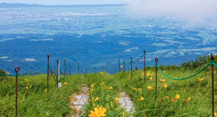 家电经销新年愿望:一切都能回归平静和常态化-家电圈官网