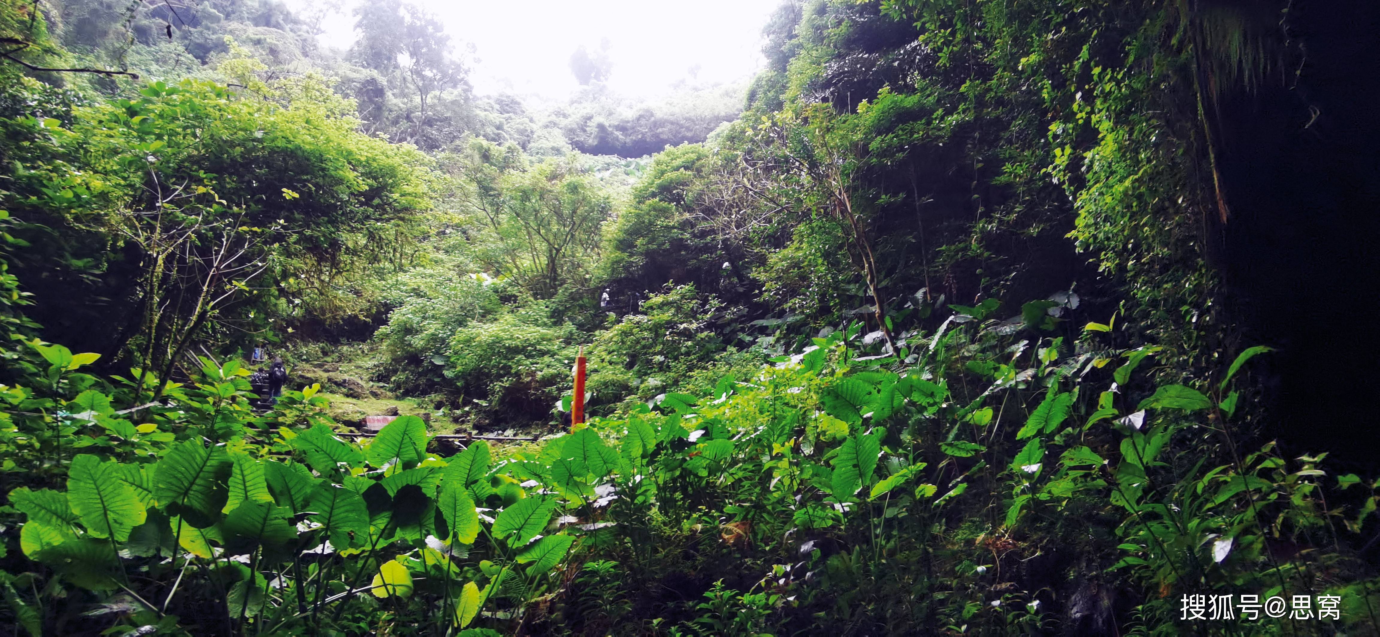 思窝骑着马儿去草原：海口石山火山群国度地量公园