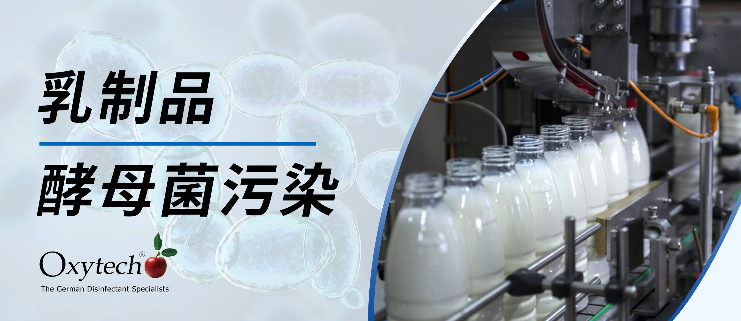 乳制品酵母菌污染怎么办?食品加工厂如何控制微生物污染?