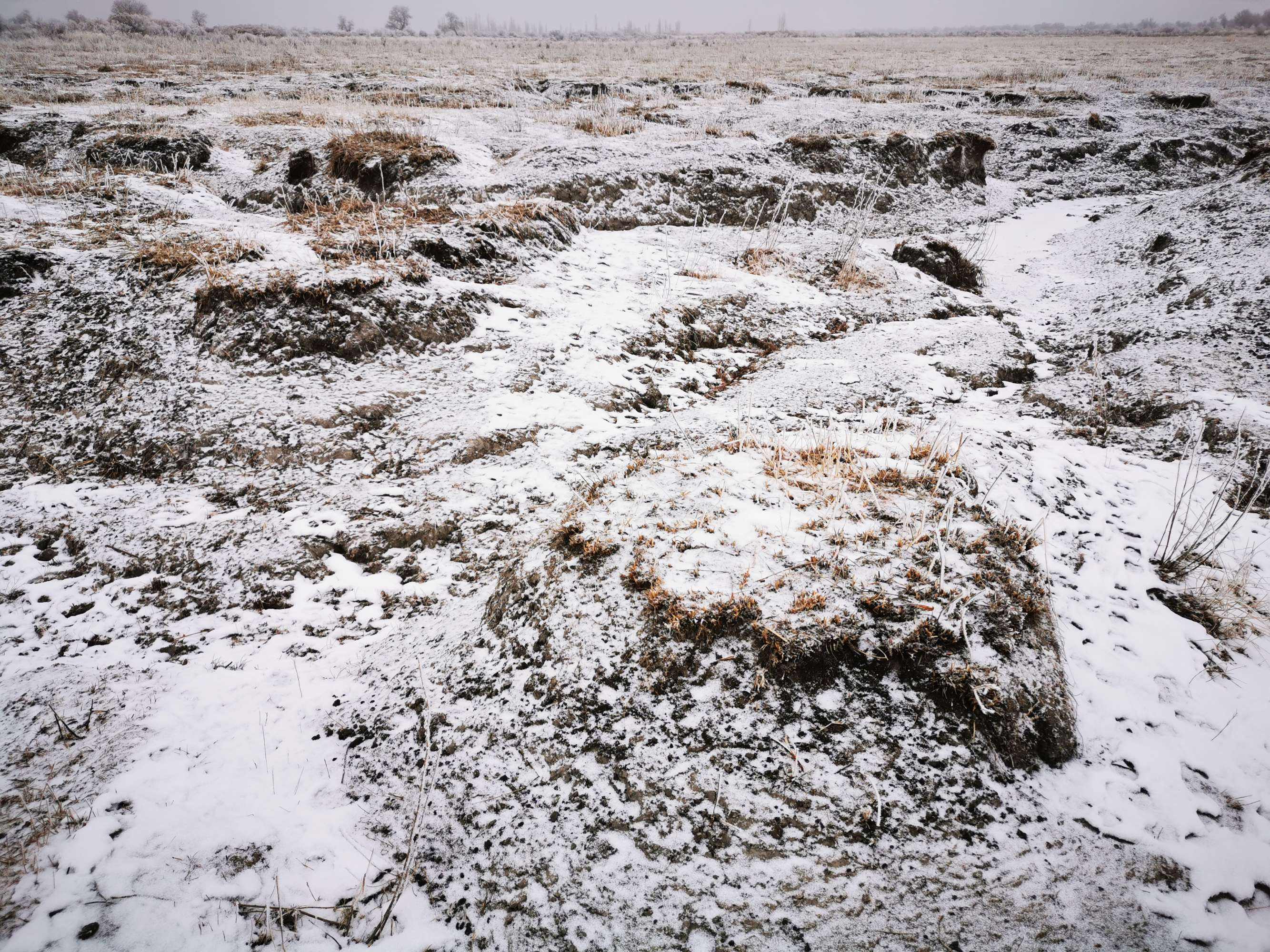 与 第2次 土 壤 普 查 结果相比,2005年新疆绿洲轻度盐渍化耕地面积