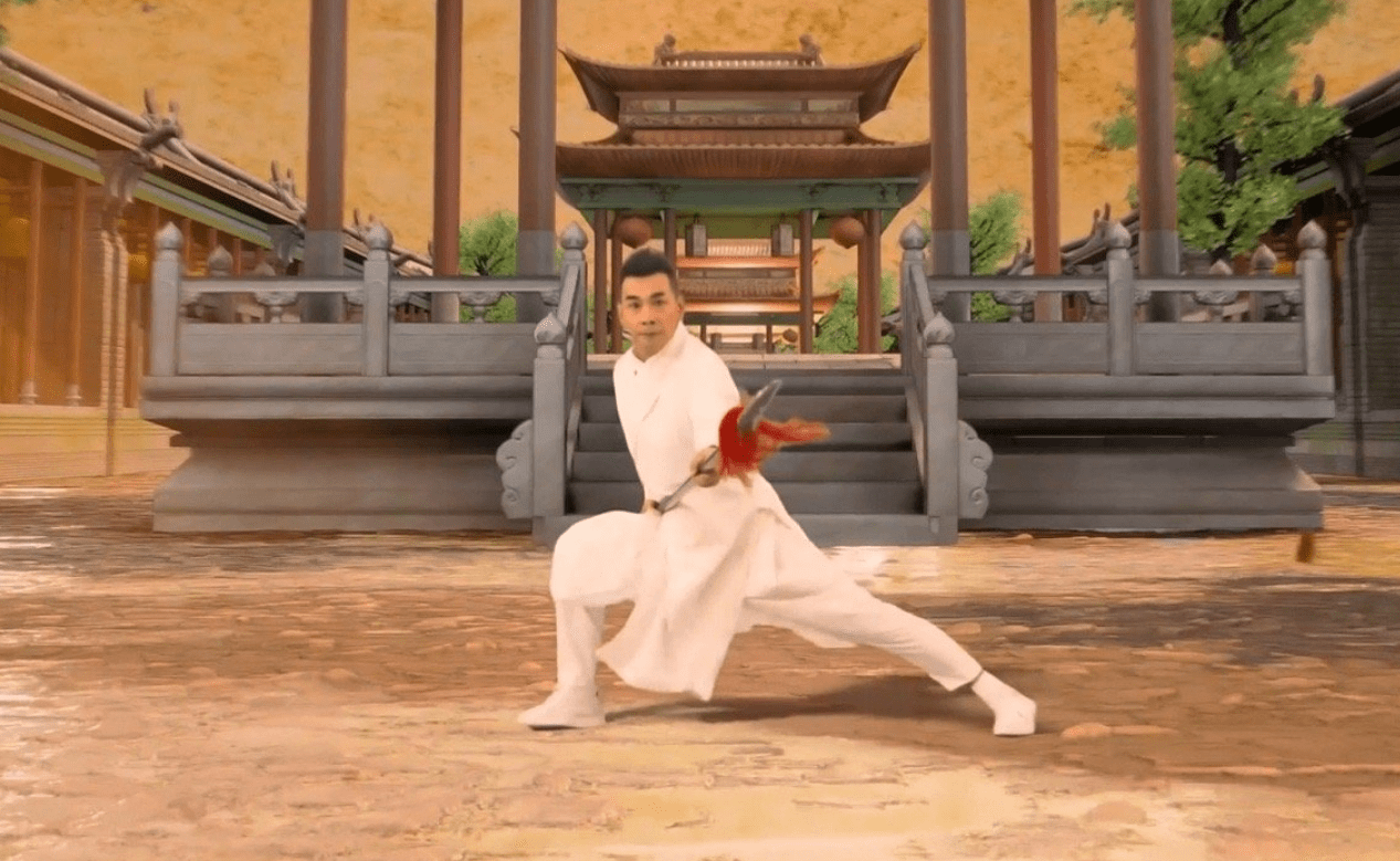 赵文卓春晚武术表演惊艳 转身腾空回马枪帅气十足-搜狐大视野-搜狐新闻